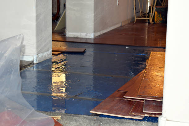 Professional Basement Flood Cleanup technician working in Henderson, NC